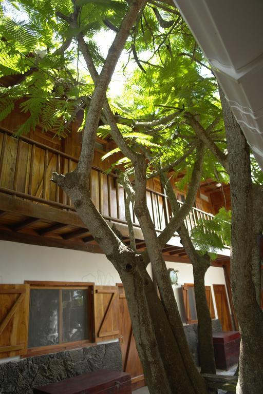 The Wooden House Hotel بْوُرتو فيلاميل المظهر الخارجي الصورة